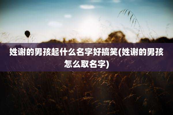 姓谢的男孩起什么名字好搞笑(姓谢的男孩怎么取名字)