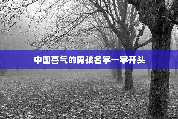 中国喜气的男孩名字一字开头