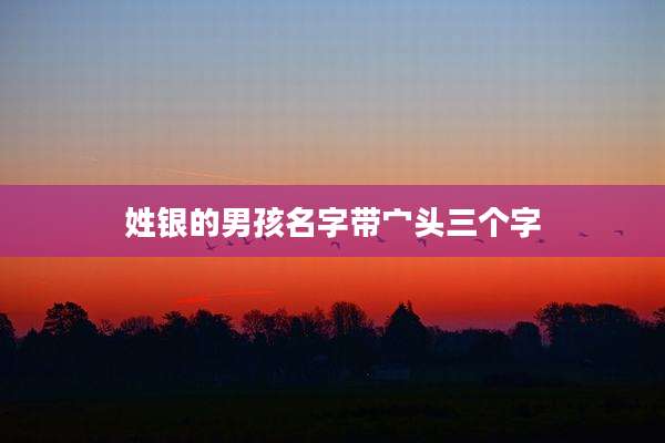 姓银的男孩名字带宀头三个字