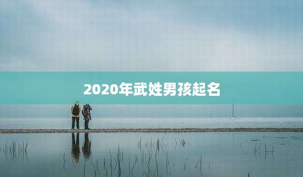 2020年武姓男孩起名