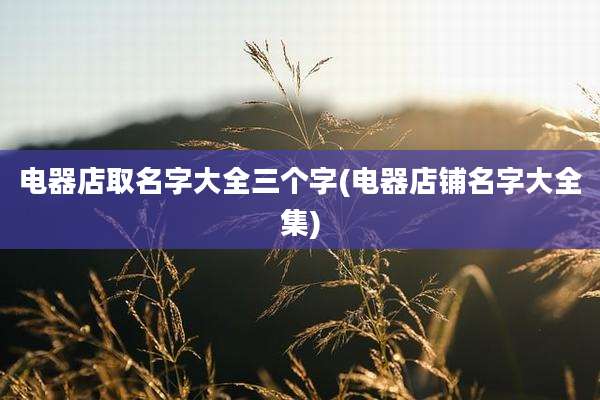 电器店取名字大全三个字(电器店铺名字大全集)