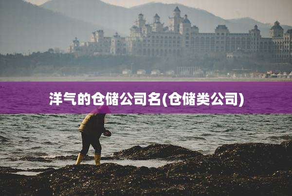 洋气的仓储公司名(仓储类公司)