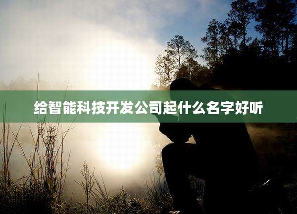给智能科技开发公司起什么名字好听