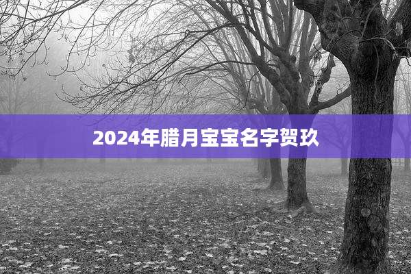 2024年腊月宝宝名字贺玖