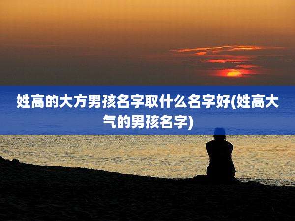 姓高的大方男孩名字取什么名字好(姓高大气的男孩名字)