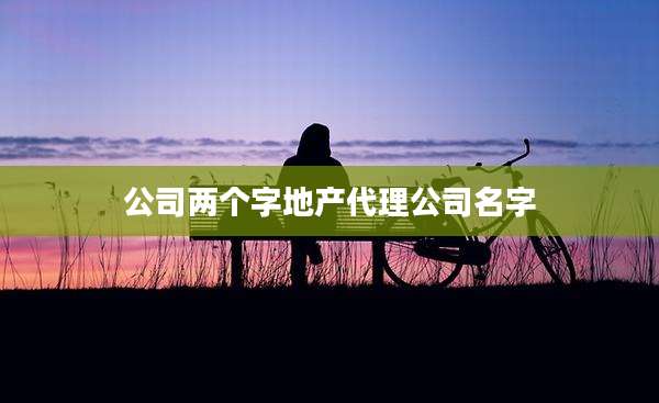 公司两个字地产代理公司名字
