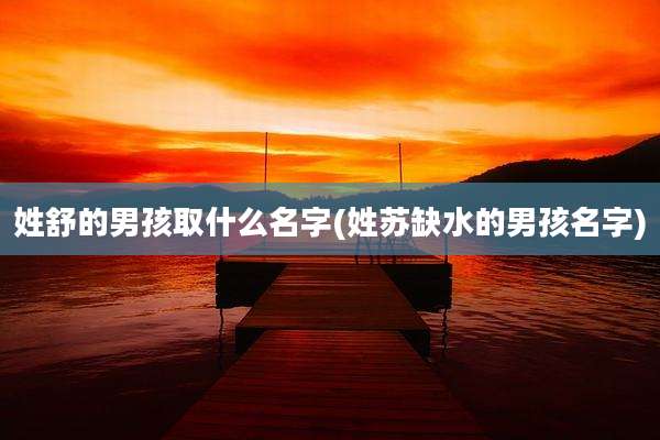 姓舒的男孩取什么名字(姓苏缺水的男孩名字)