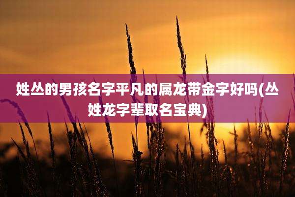 姓丛的男孩名字平凡的属龙带金字好吗(丛姓龙字辈取名宝典)