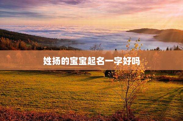 姓扬的宝宝起名一字好吗