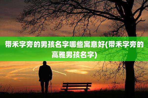 带禾字旁的男孩名字哪些寓意好(带禾字旁的高雅男孩名字)