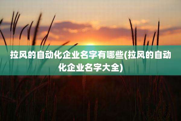 拉风的自动化企业名字有哪些(拉风的自动化企业名字大全)