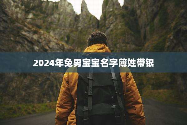 2024年兔男宝宝名字薄姓带银