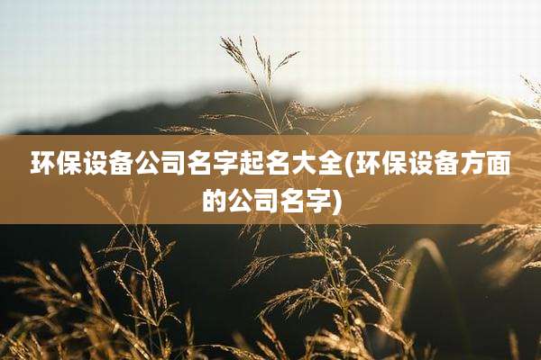 环保设备公司名字起名大全(环保设备方面的公司名字)