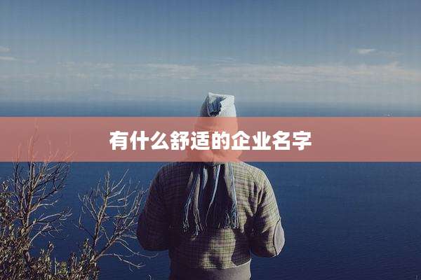 有什么舒适的企业名字