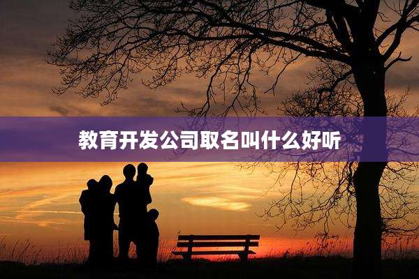 教育开发公司取名叫什么好听