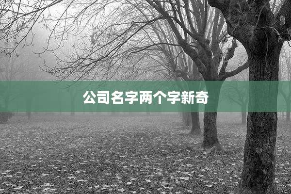 公司名字两个字新奇