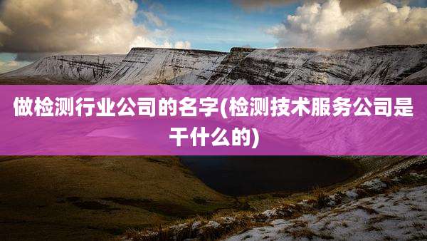 做检测行业公司的名字(检测技术服务公司是干什么的)