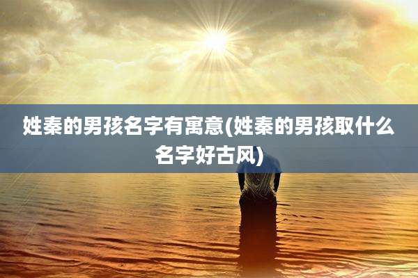 姓秦的男孩名字有寓意(姓秦的男孩取什么名字好古风)