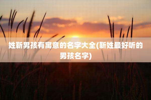 姓靳男孩有寓意的名字大全(靳姓最好听的男孩名字)