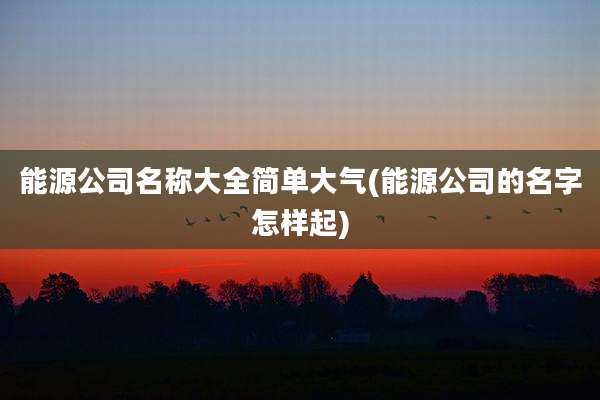 能源公司名称大全简单大气(能源公司的名字怎样起)