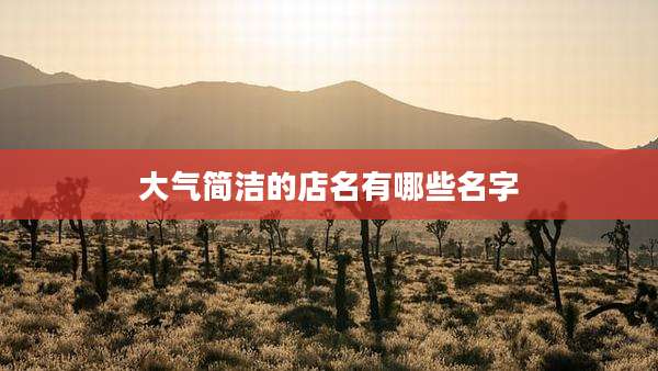 大气简洁的店名有哪些名字