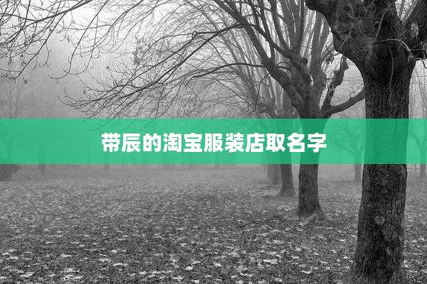 带辰的淘宝服装店取名字