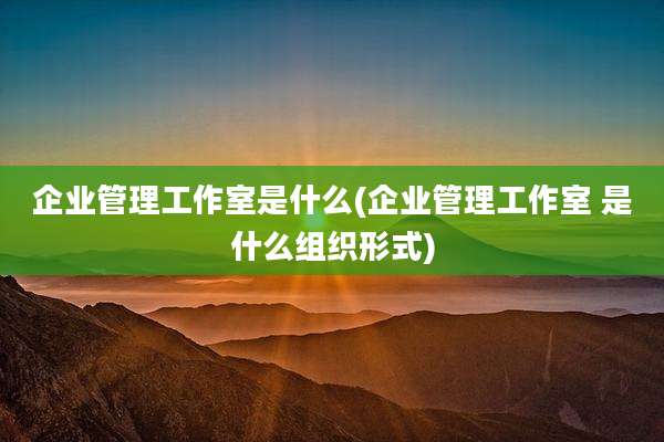 企业管理工作室是什么(企业管理工作室 是什么组织形式)
