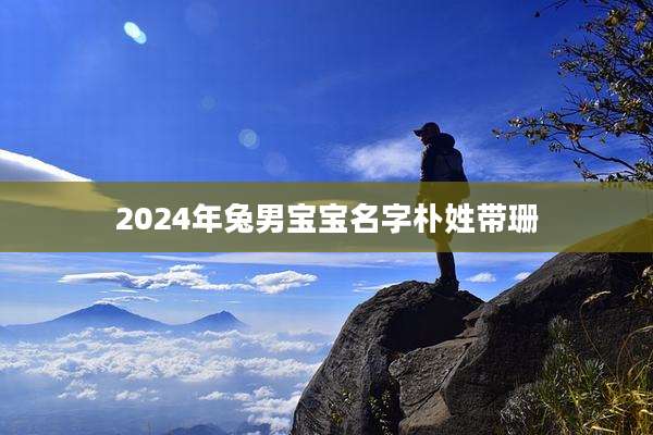 2024年兔男宝宝名字朴姓带珊