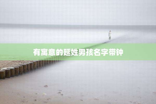 有寓意的延姓男孩名字带钟