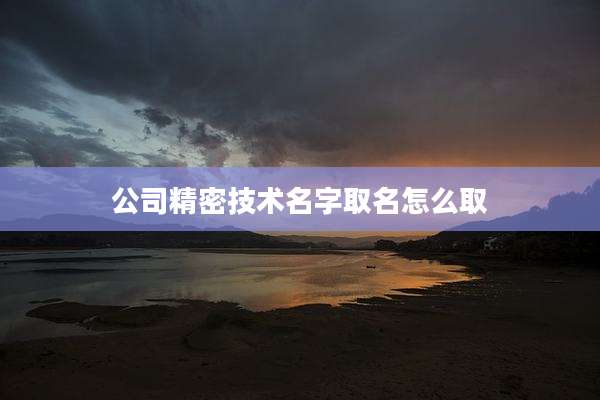 公司精密技术名字取名怎么取