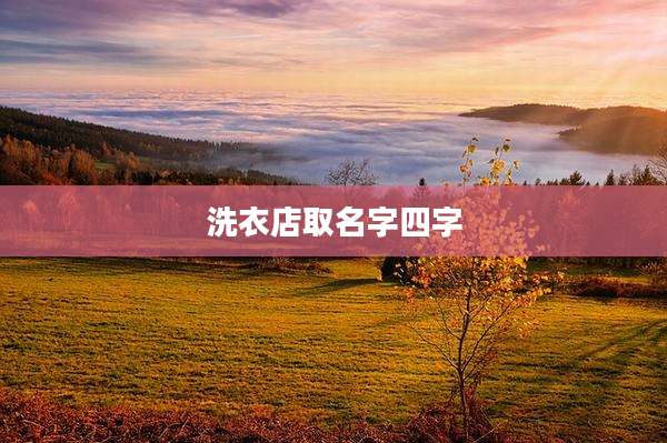 洗衣店取名字四字
