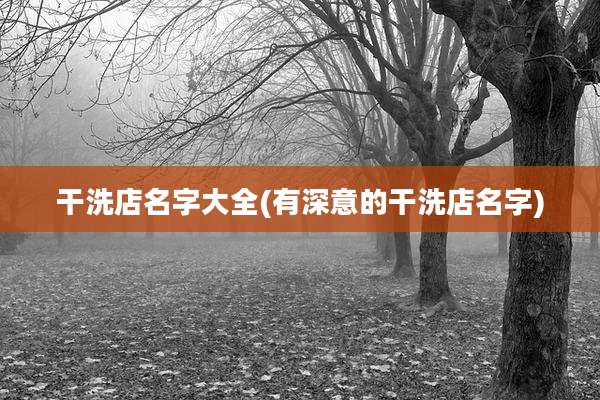 干洗店名字大全(有深意的干洗店名字)