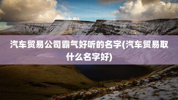 汽车贸易公司霸气好听的名字(汽车贸易取什么名字好)