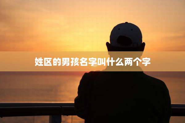 姓区的男孩名字叫什么两个字