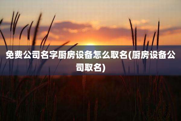 免费公司名字厨房设备怎么取名(厨房设备公司取名)