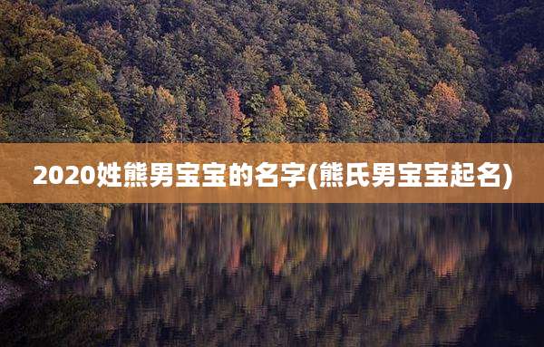 2020姓熊男宝宝的名字(熊氏男宝宝起名)