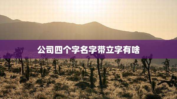 公司四个字名字带立字有啥