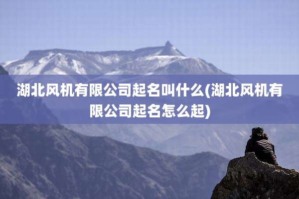 湖北风机有限公司起名叫什么(湖北风机有限公司起名怎么起)