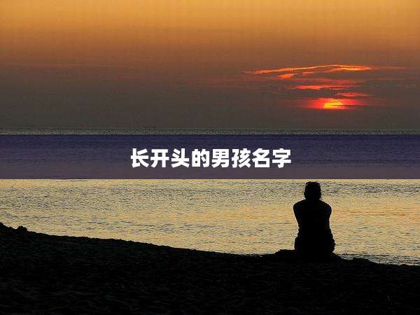 长开头的男孩名字