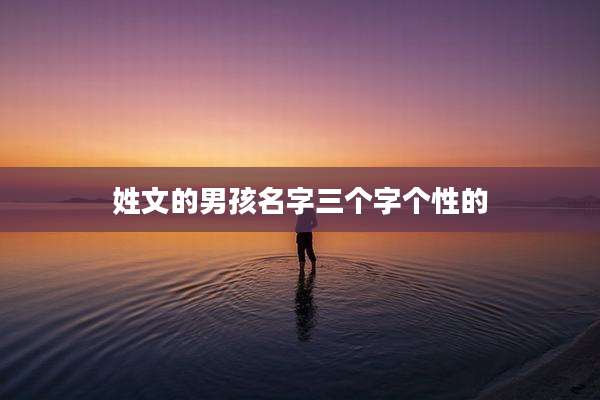 姓文的男孩名字三个字个性的