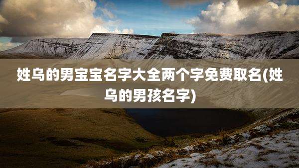 姓乌的男宝宝名字大全两个字免费取名(姓乌的男孩名字)