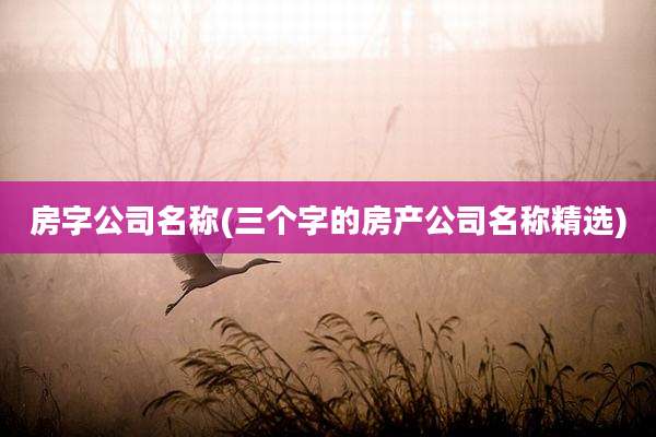 房字公司名称(三个字的房产公司名称精选)