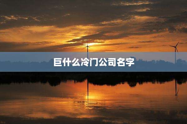 巨什么冷门公司名字