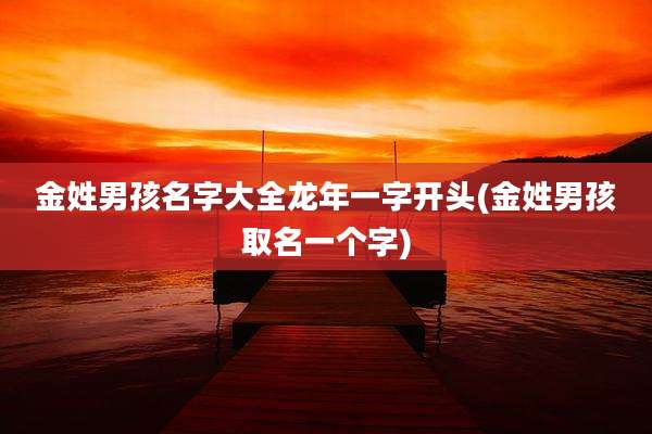 金姓男孩名字大全龙年一字开头(金姓男孩取名一个字)