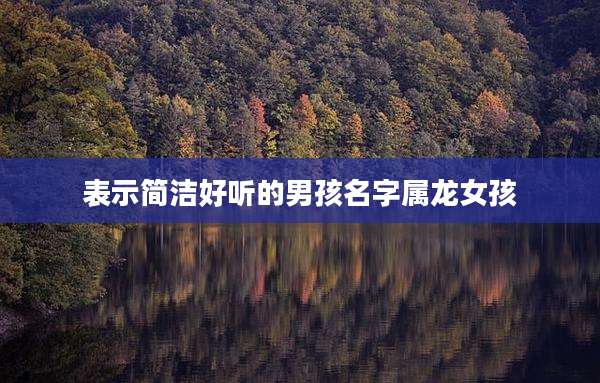 表示简洁好听的男孩名字属龙女孩