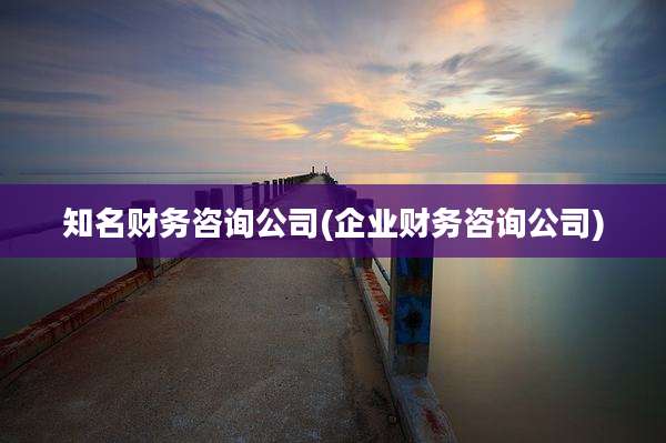 知名财务咨询公司(企业财务咨询公司)