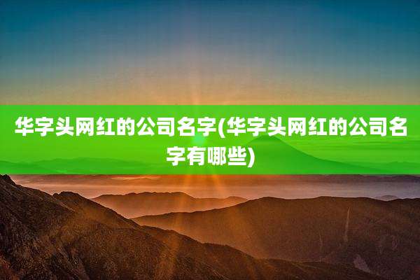 华字头网红的公司名字(华字头网红的公司名字有哪些)