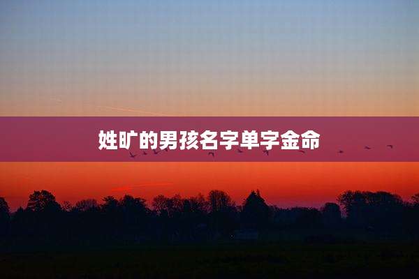姓旷的男孩名字单字金命