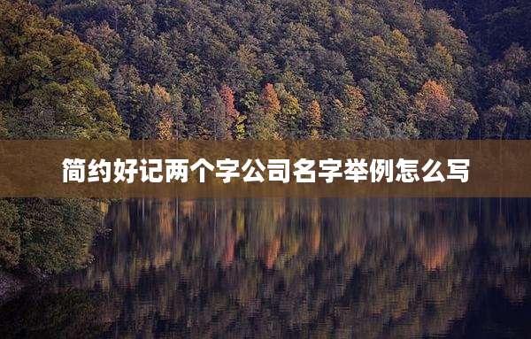 简约好记两个字公司名字举例怎么写
