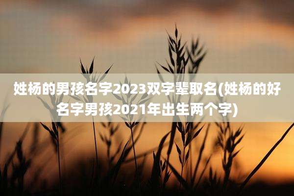 姓杨的男孩名字2023双字辈取名(姓杨的好名字男孩2021年出生两个字)